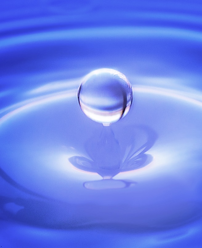 Dilution-Dynamisation en homéopathie